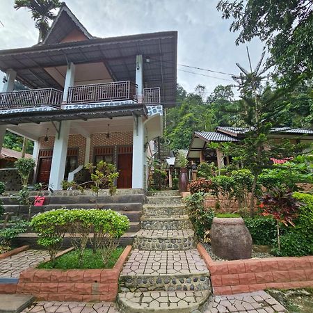 Hotel Thomas' Retreat Bukit Lawang Exteriér fotografie