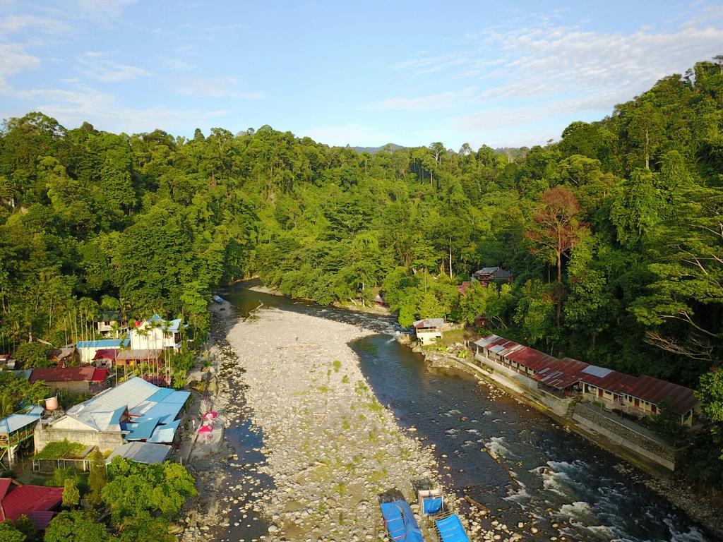 Hotel Thomas' Retreat Bukit Lawang Exteriér fotografie